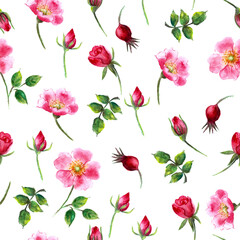 Hand drawn watercolor wild rose seamless pattern