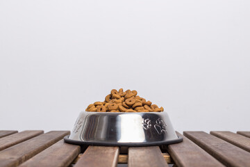 dog food bowl