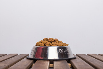 dog food bowl