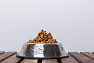 dog food bowl
