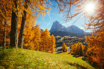 Splendid autumn landscape in Val Gardena. Location Dolomites, Trentino Alto Adige, Italy, Europe.