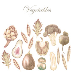 Hand drawn vegetable set
