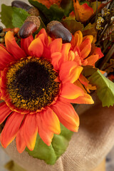 Close view of the orange decorative sunflower and two acorns isolated on blurred canvas