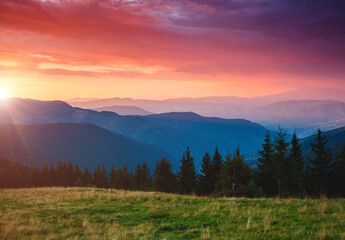 Plakat Beautiful alpine highlands in morning light. Location place Carpathian mountains, Ukraine.