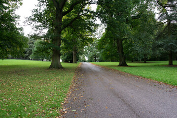 Fototapeta na wymiar a narrow road through the park