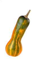 pumpkin yellow-green elongated pear-shaped on a white background