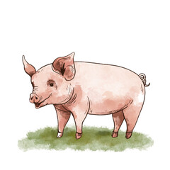 Cute hand drawn pig greeting card. Vintage rustic animals illustration