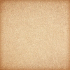 Rough paper texture - brown paper sheet.