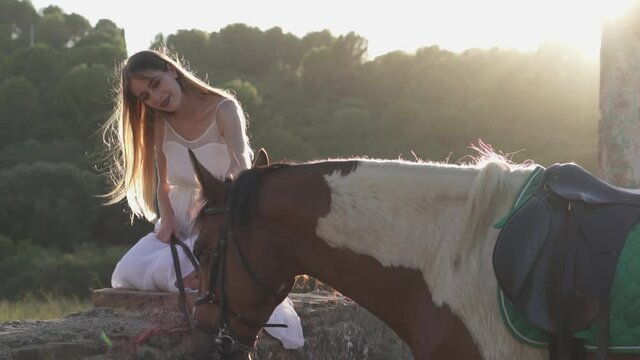 Woman gently touhing and caressing a horse in the forest at sunset. Dreamy look video of a female interacting with a horse in the wild. Lovely moment between human and animal in nature