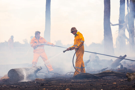 firefighters using hoses to spray water on burnt logs after fire