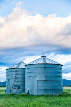 Good times on a farm with green grass and grain silos