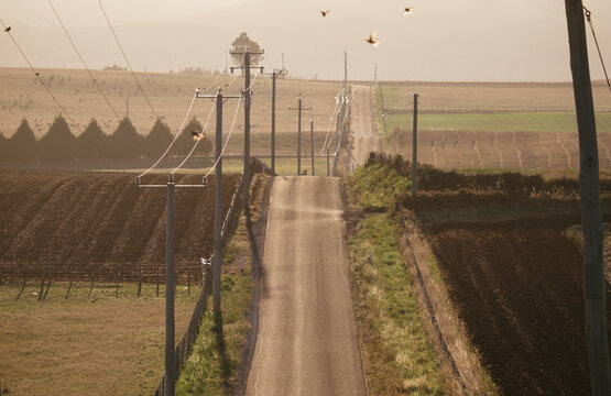Hilly road and farmland in rural Tasmania