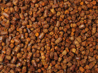 
bee bread photographed with studio light