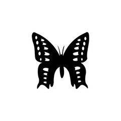 butterfly logo icon vector