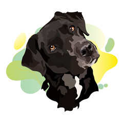 Black labrador vector.Portrait of a dog. Trend