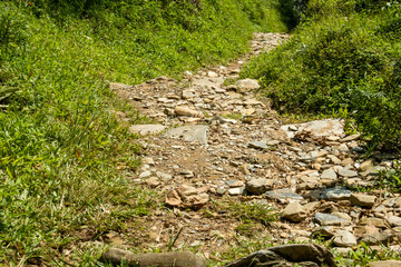 A trekking trail in the mountains, lined with natural stones of various sizes, going among the green bushes