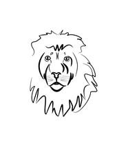 Lion face vector 