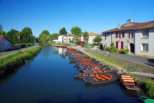 coulon -vensie verte