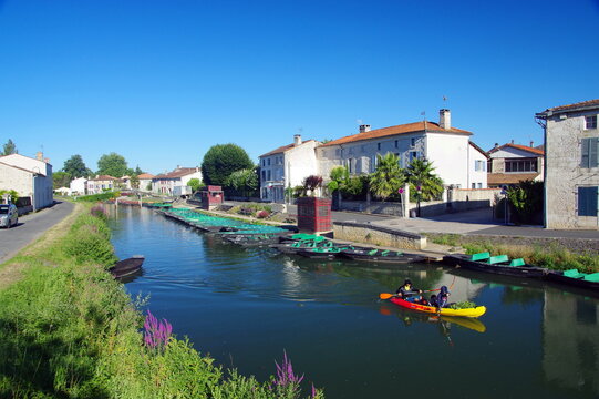 coulon -vensie verte