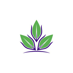 This is a nature logo template, with leaf concept