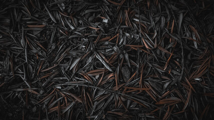 fondo texturizado de hojas de olivo