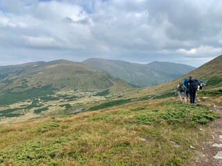 Fototapeta na wymiar Hiking group at Carpathian mountains in summer