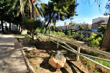 Landscape of palm grove and the hillside of the Vinalopo River in Elche