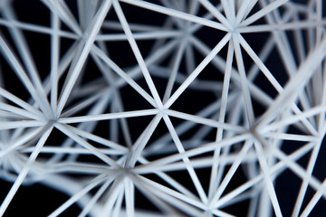 Abstract structure 3D printed. Net structure against black background. Abstrakte Struktur 3D...
