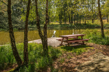 Fototapeta na wymiar Park bench and table by a small pond