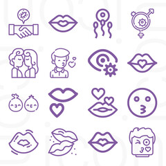 16 pack of erotic  lineal web icons set