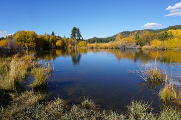 A small pond near Lake Tahoe surrounded by trees with vibrant yellow, gold and orange fall colors,...
