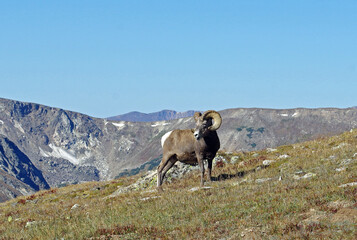 Fototapeta premium National Parks, Rocky Mountain National Park, Colorado