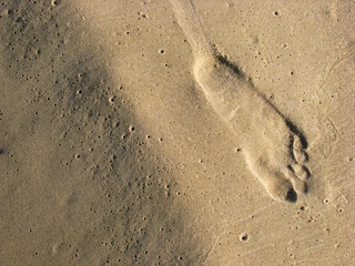 Footprint on the beach