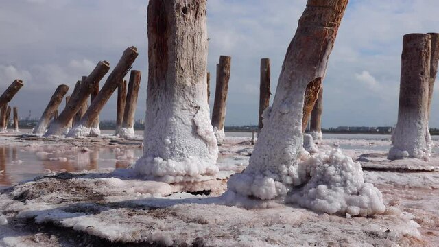 Drying Kuyalnik estuary. Salt crystals on wooden pillars of an old 18th century salt industry. The ecological problem is drought.