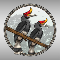 Beautiful Hornbill Bird On The Jungle © WODEXZ