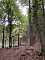 Herbst im Oberbergischen Land 