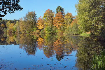 Autumn landscape with yellow, red and green trees reflecting in the calm water of a forest lake in sunny day
