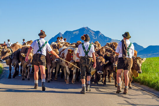 Viehscheid - Gr&uuml;nten - Allg&auml;u - Gunzesried 