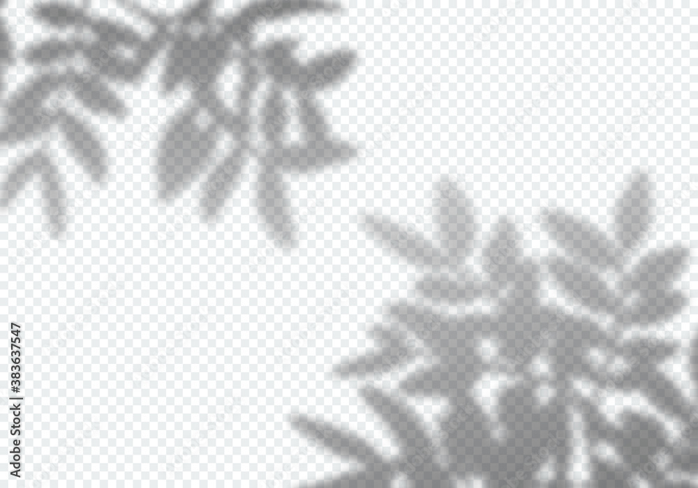 Leinwandbilder vector transparent shadow of branch leaves. decorative design element for presentations and mockups.