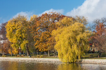 Herbst in Waren an der Müritz in Mecklenburg-Vorpommern. Mit Bäumen im Herbstlaub, u. a. eine Eiche und ein Trauerweide.