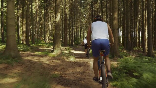 Mountain Bikers Cycling On Dirt Track In Forest