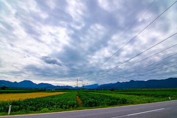 Fototapeta na wymiar Idyllic mountain view with road and high voltage lines