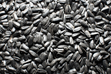 background of sunflower seeds. space for text