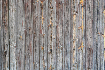 old weathered wood door with rusty nails, for matte painting backgrounds and textures