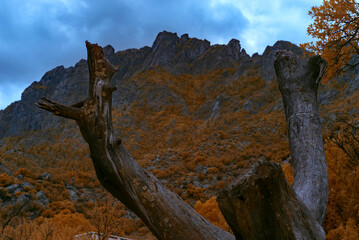 Infrared of the Organ Mountains.