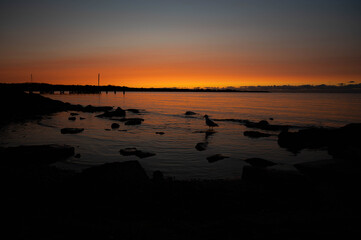 Naklejka premium Sunset at the Marina 
