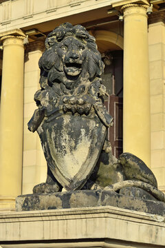 Kaliningrad, Russia - september 30, 2020: Sculpture of a lion on the porch of Koenigsberg Stock exchange. Kaliningrad, Kenigsberg before 1946, Russia