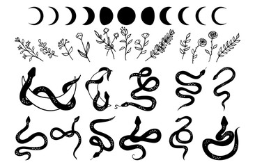 Mystic set of snakes silhouette, moon phases and wildflowers. Delicate greenery, rustic herbs, fern, foliage and plants in line style. Boho modern hand drawn design elements for logo and branding.