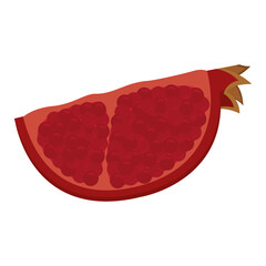Isolated pomegranade rosh hashana jewish icon- Vector