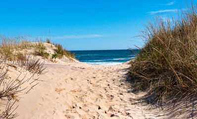 Fototapeta na wymiar Looking through the sand dunes on Montauk Beach at the Atlantic Ocean